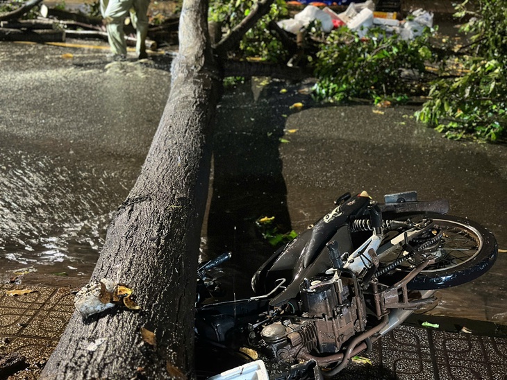 Giông lốc - Ảnh 3.