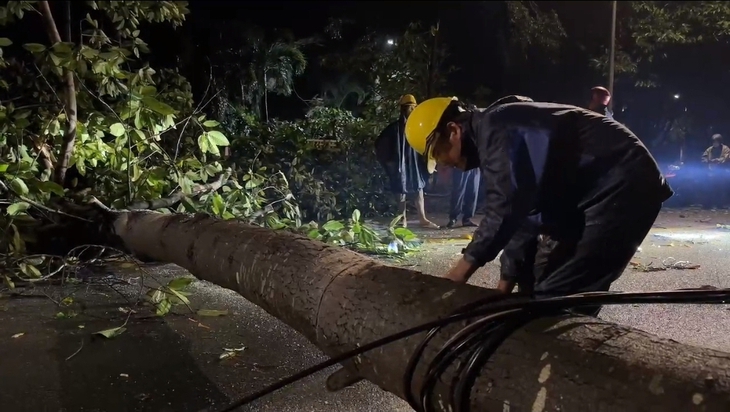 Giông lốc - Ảnh 6.