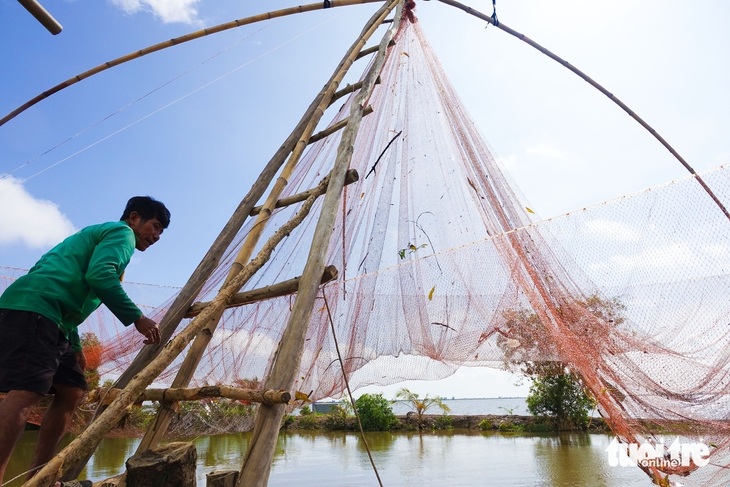 cá đồng - Ảnh 1.