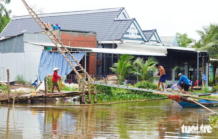 cá đồng - Ảnh 3.