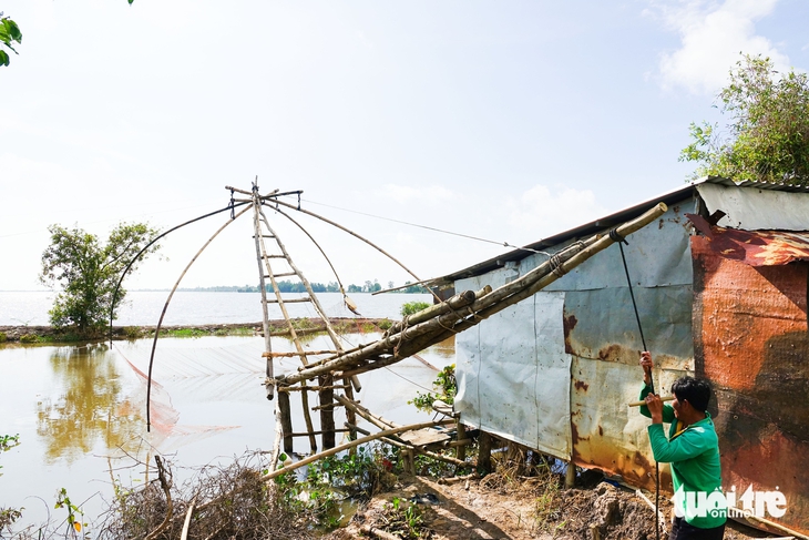 cá đồng - Ảnh 4.