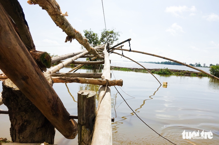 cá đồng - Ảnh 6.