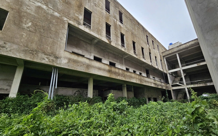 Nhìn từ chuyện bệnh viện "đắp chiếu" - Ảnh 1.