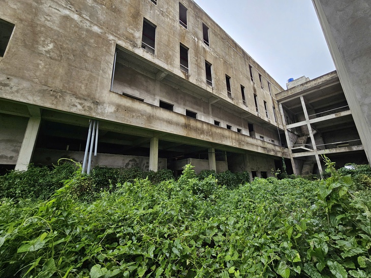 bệnh viện ung bướu - Ảnh 2.