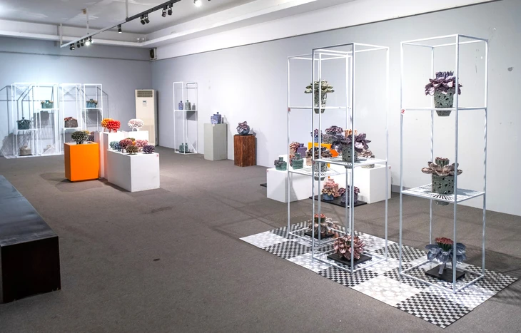 Khu vườn hạnh phúc - Ảnh 12.