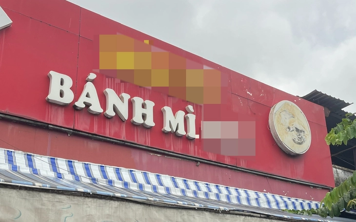 Vụ ngộ độc sau ăn bánh mì ở TP.HCM: Đã tăng lên 235 ca, các nạn nhân nằm ở 13 bệnh viện - Ảnh 2.