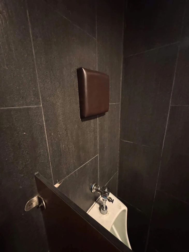 tại sao - Ảnh 1.