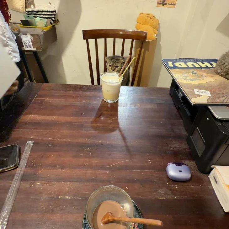 tại sao - Ảnh 4.