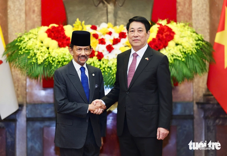 Chủ tịch nước Lương Cường chủ trì lễ đón Quốc vương Brunei- Ảnh 6.