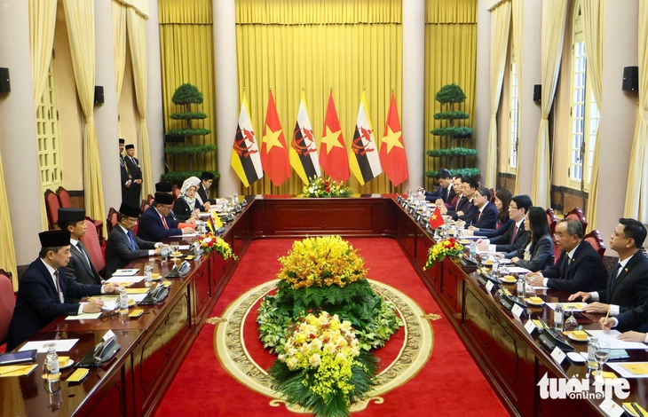 Chủ tịch nước Lương Cường chủ trì lễ đón Quốc vương Brunei- Ảnh 7.