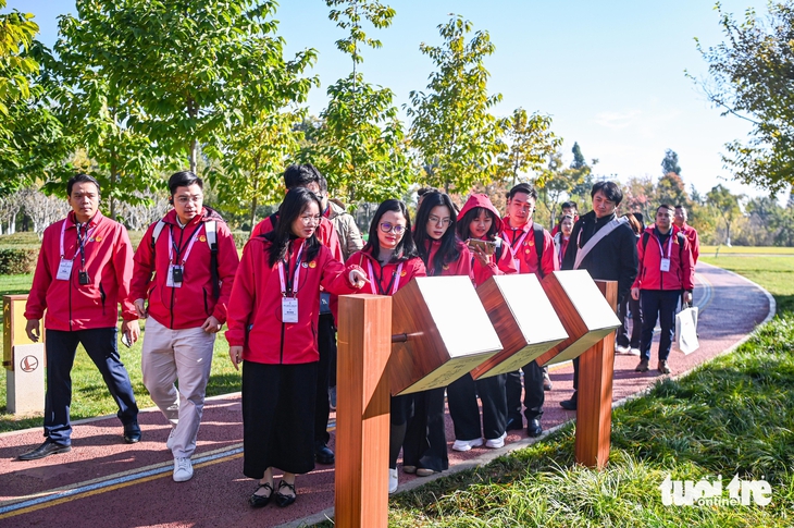 thanh niên - Ảnh 5.