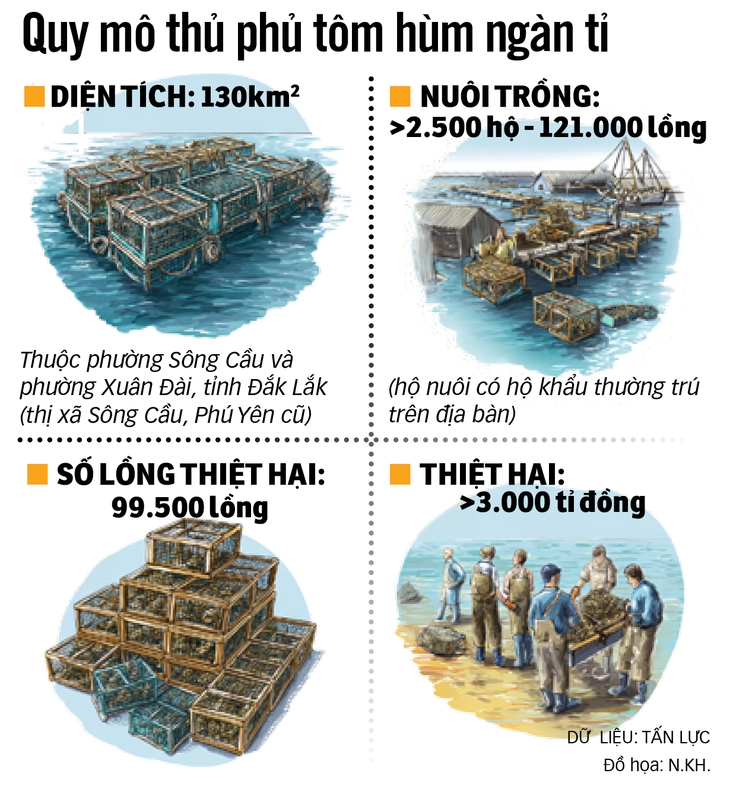 tôm hùm - Ảnh 2.