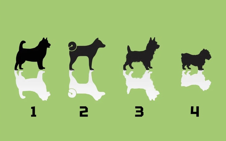 Quiz: Thiên thần đang muốn truyền tải thông điệp gì đến bạn? - Ảnh 2.