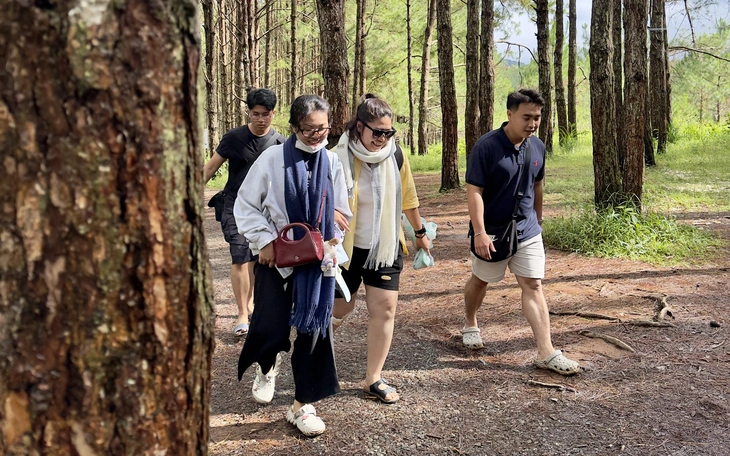 Xu hướng lịch 2026: xách vali lên và đi "không cần lý do" - Ảnh 2.