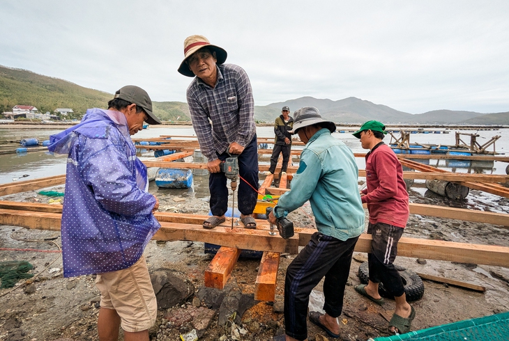 tôm hùm - Ảnh 4.