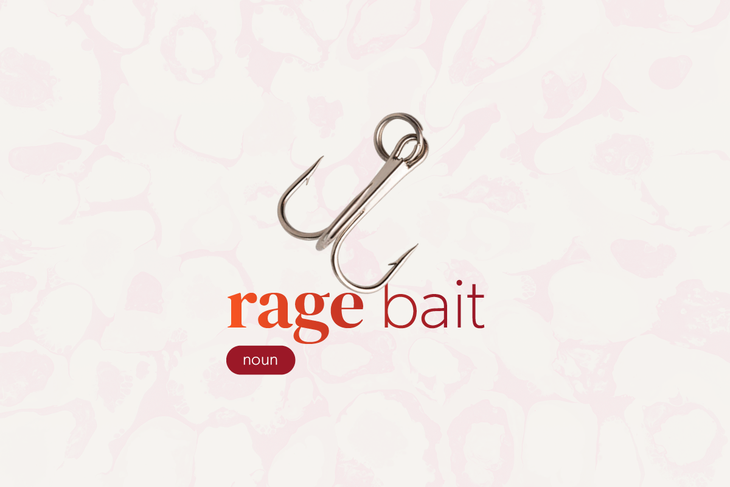 Rage bait - Ảnh 1.