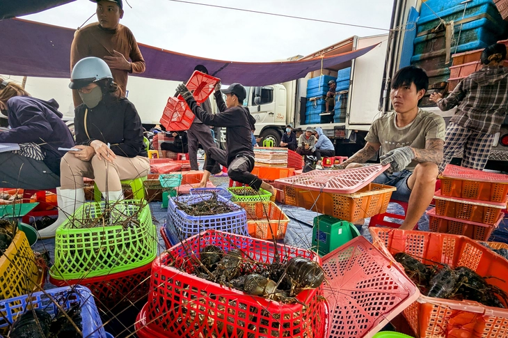 tôm hùm - Ảnh 1.