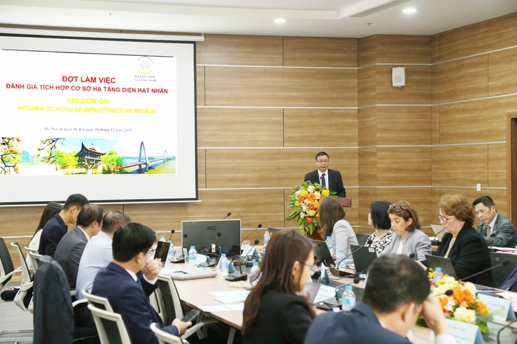 điện hạt nhân - Ảnh 1.