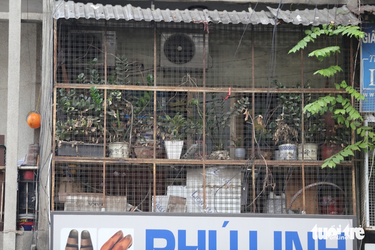 chuồng cọp - Ảnh 10.