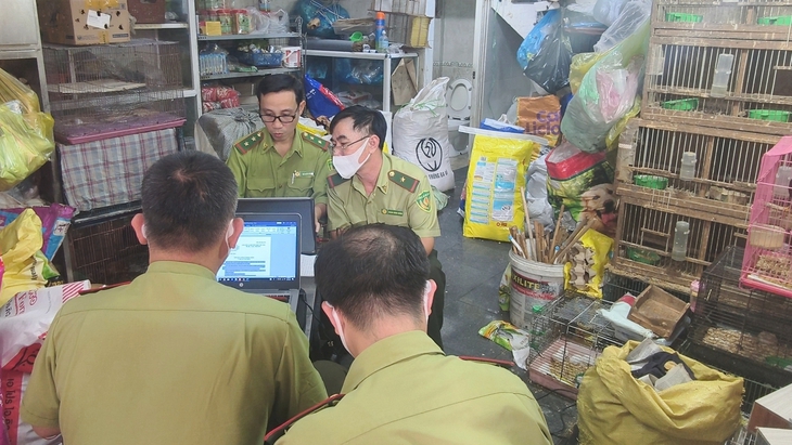 chim cảnh - Ảnh 1.