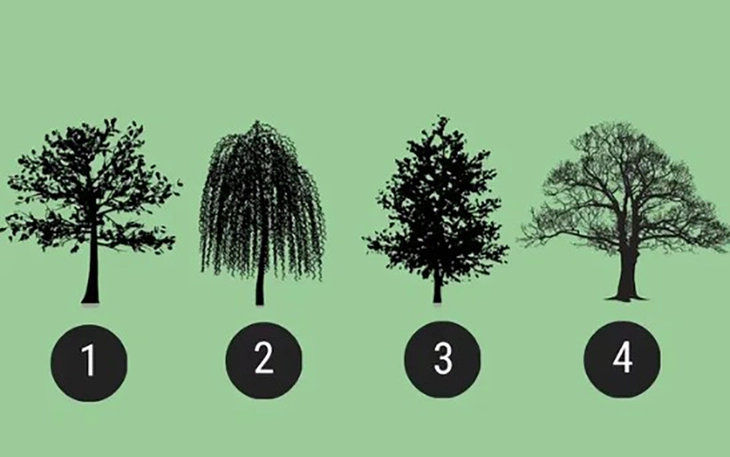 Nhìn dáng bàn chân, đoán ngay tính cách thật của bạn - Ảnh 2.