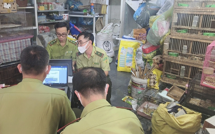 Phát hiện hàng chục con chim quý hiếm bị nuôi nhốt trái phép - Ảnh 3.