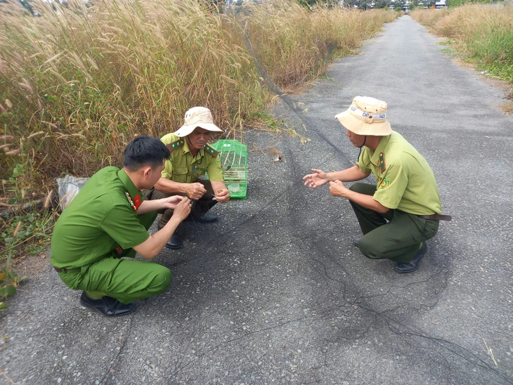 chim cảnh - Ảnh 5.