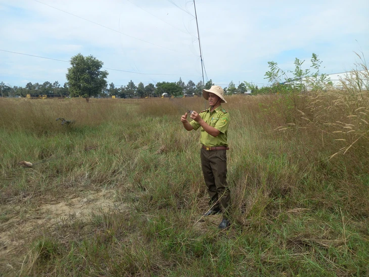 chim cảnh - Ảnh 4.