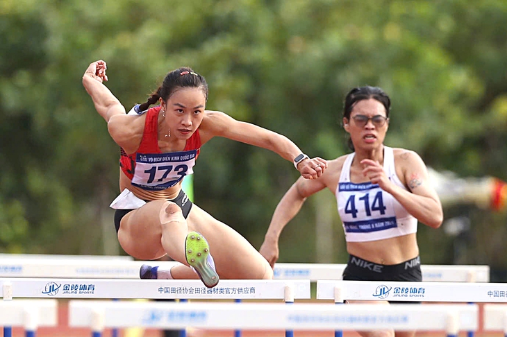 Việt Nam - Ảnh 1.