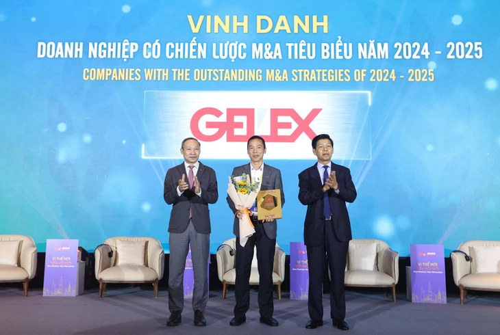 GELEX được vinh danh Doanh nghiệp có chiến lược M&A tiêu biểu - Ảnh 1. Gelex - Ảnh 1.
