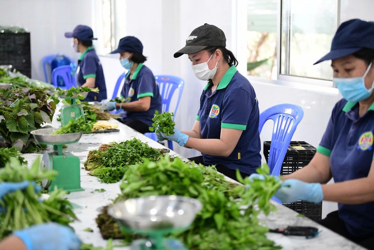 Tây Ninh - Ảnh 1.