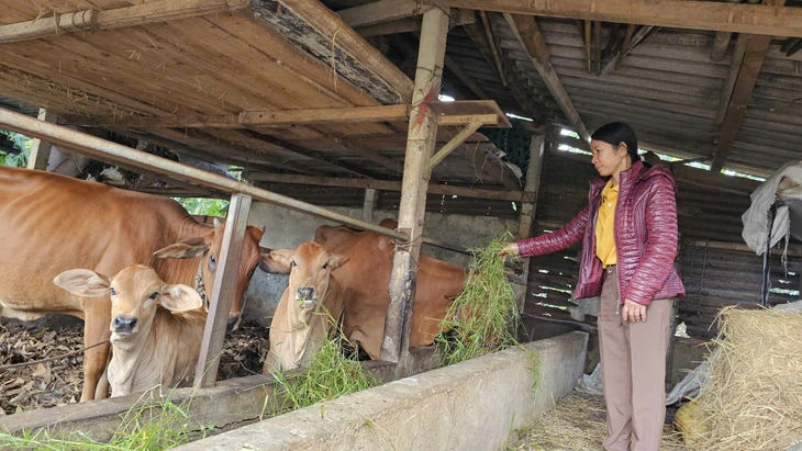 Vay không lãi, khi trả lại tiền đúng hạn người dân được tặng thêm 4 triệu đồng - Ảnh 1.