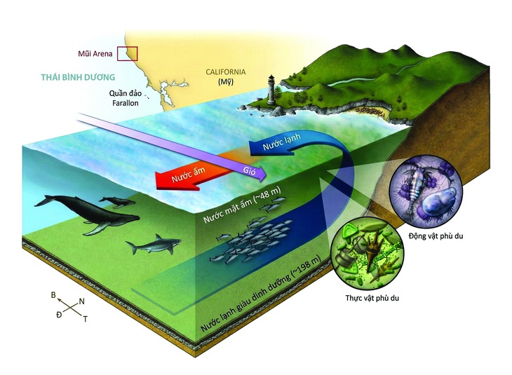 Đại dương lệch nhịp - Ảnh 2. biến đổi khí hậu - Ảnh 3.