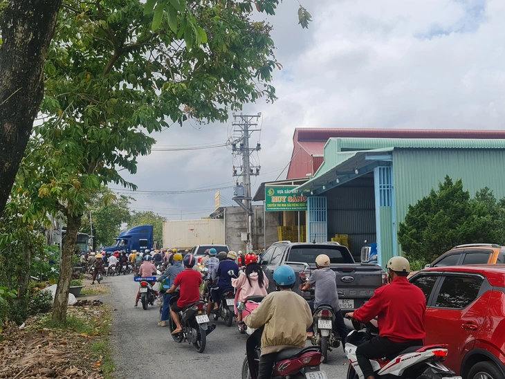 Đồng Tháp chi hơn 242 tỉ đồng để duy tu, sửa chữa đường bộ, đường thủy - Ảnh 3.