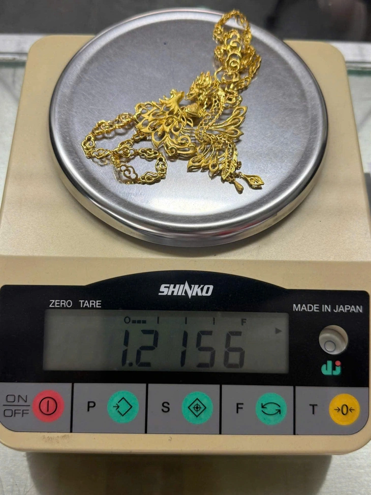 Bắt người giúp việc trộm vàng, giấu trong bồn nước nhà vệ sinh ở TP.HCM - Ảnh 2. Bắt người giúp việc trộm vàng, giấu trong bồn nước nhà vệ sinh ở TP.HCM - Ảnh 2.