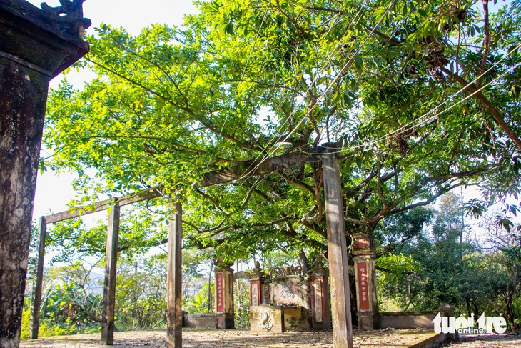 Đà Nẵng - Ảnh 3.