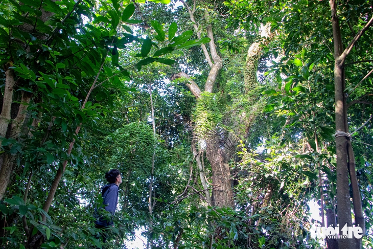 Đà Nẵng - Ảnh 10.