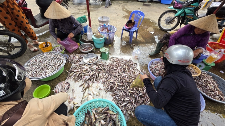 Mùa cá đồng - Ảnh 4. cá đồng - Ảnh 4.