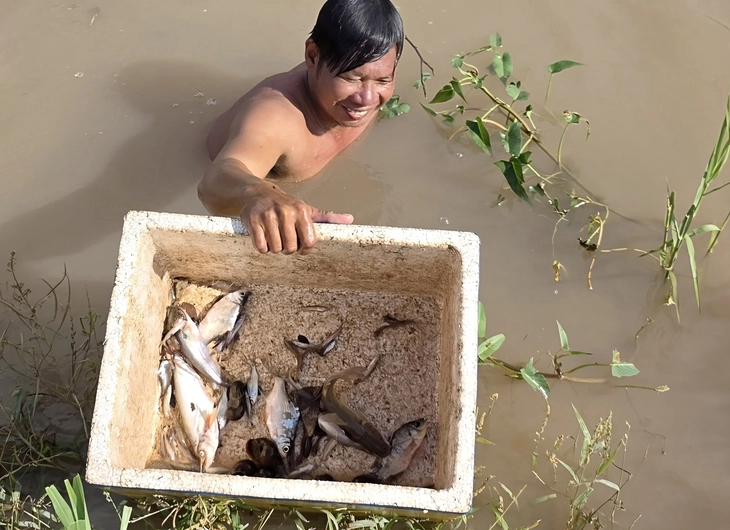 Mùa cá đồng - Ảnh 5. cá đồng - Ảnh 5.