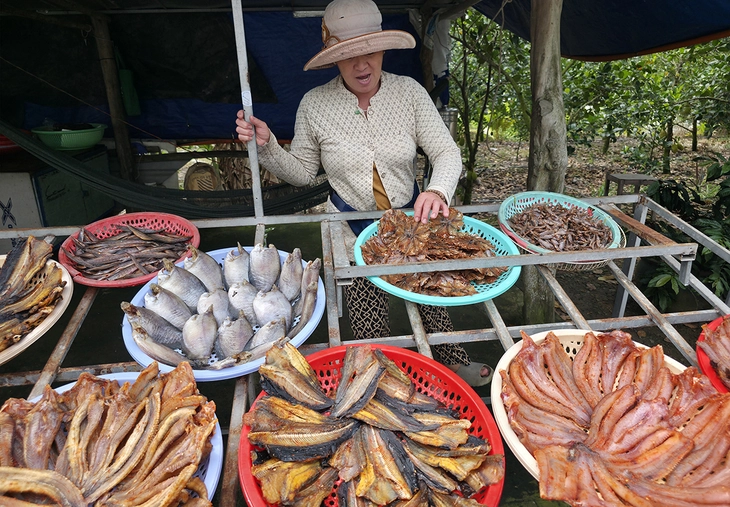 Mùa cá đồng - Ảnh 1. cá đồng - Ảnh 1.