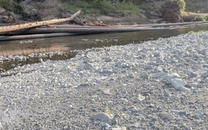 Quiz: Bạn giàu tình cảm hay là người chín chắn, có kế hoạch rõ ràng - Ảnh 3.