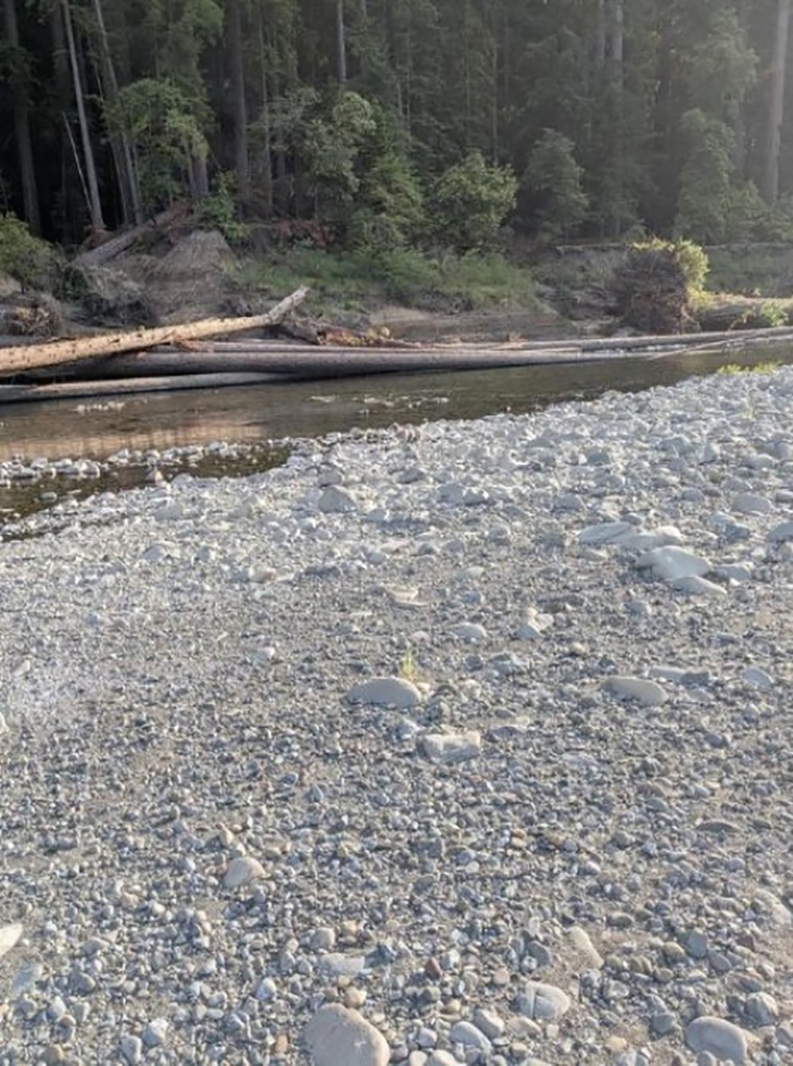 Mắt 10/10 - Ảnh 1.