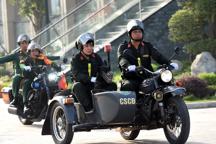 sân bay Long Thành - Ảnh 7.