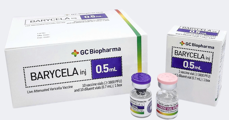 thuỷ đậu - Ảnh 1.