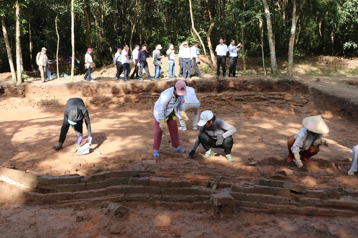 Mỹ Sơn - Ảnh 2.