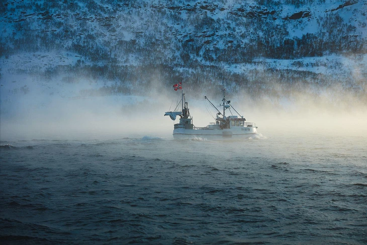 cua hoàng đế - Ảnh 2.