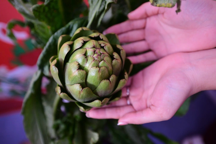 Ngày của Phở - Ảnh 3.