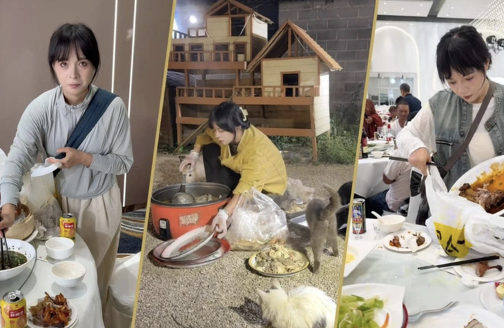 mèo hoang - Ảnh 2.