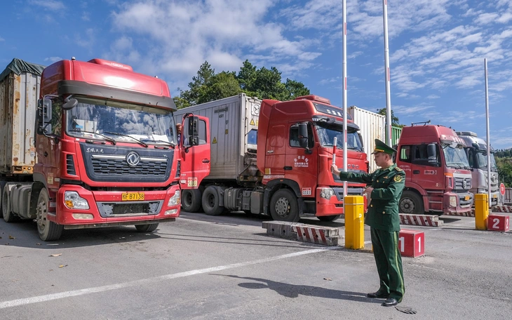 Lo đơn quà Tết 'mắc kẹt' tại kho vận chuyển - Ảnh 2.