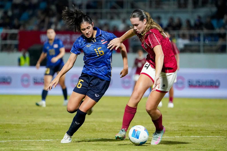 indonesia - Ảnh 2.